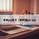 单机pg电子（单机版pu pg）