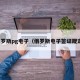 俄罗斯pg电子（俄罗斯电子签证规定）