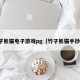 竹子熊猫电子游戏pg（竹子熊猫手抄报）