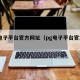 pg电子平台官方网址（pg电子平台官方官网）