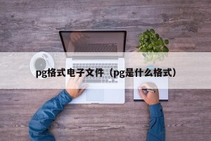 pg格式电子文件（pg是什么格式）