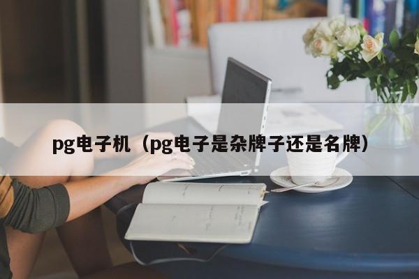 pg电子机(pg电子是杂牌子还是名牌)